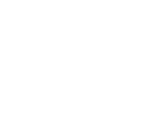 Delta Dental Insurance logo